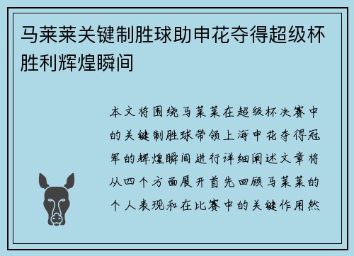 马莱莱关键制胜球助申花夺得超级杯胜利辉煌瞬间 马莱莱关键制胜球助申花夺得超级杯胜利辉煌瞬间